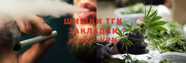 гашик Ельня